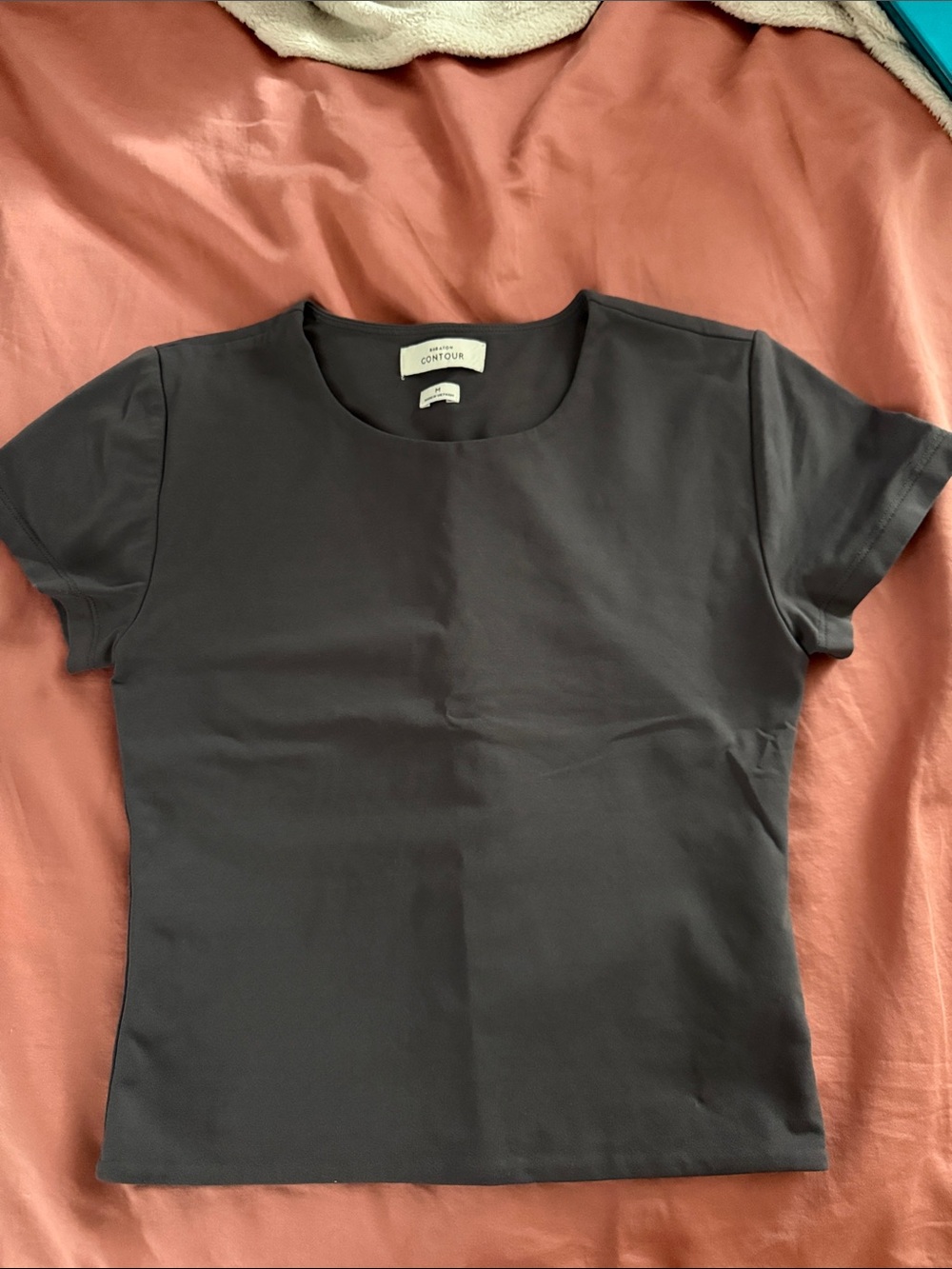 Aritzia Babaton Contour Collection top